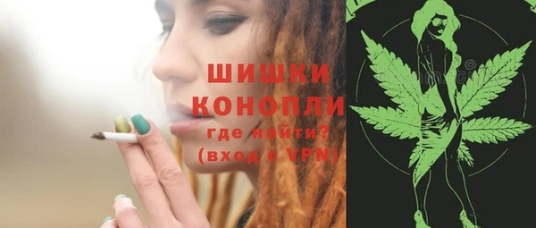 дурь Верея